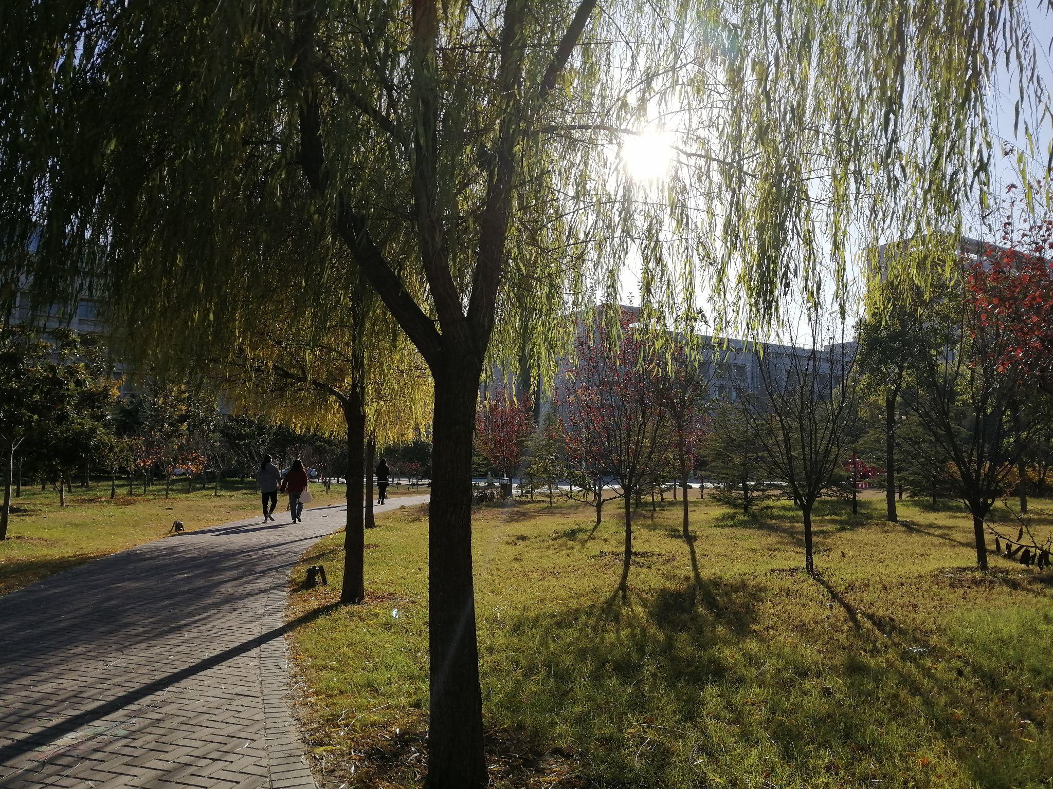 河南财政金融学院专科毕业证书图片（河南金融学院(原河南教育学院)龙子湖校区和校区财务主任黄国波）