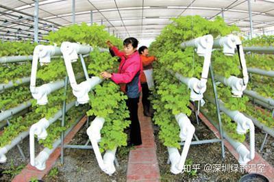 无土栽培一亩造价是多少钱 知乎