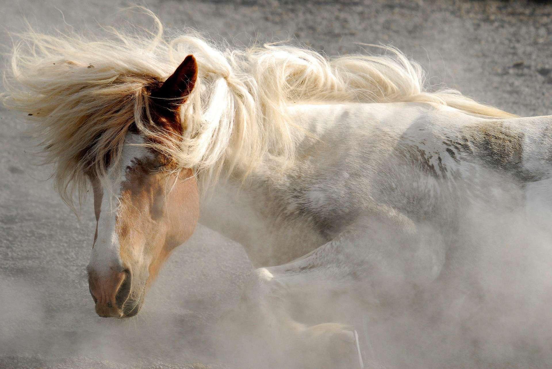 有没有在ipadpro11寸上很震撼的超高清壁纸