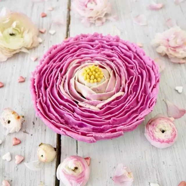 可以食用的花瓣 v2-6c1a70292981fdec0f4956cc974f94e4_r.jpg