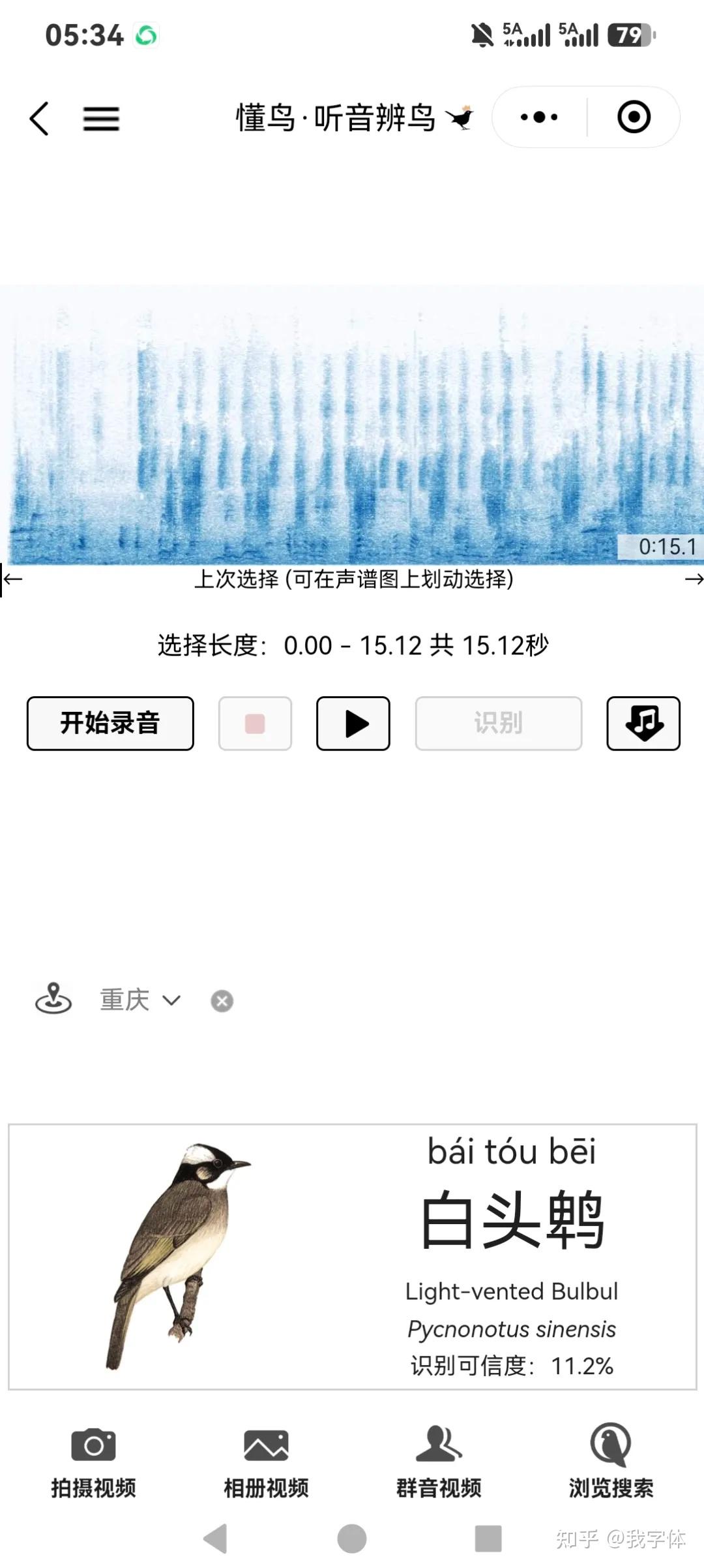 “懂鸟”都搞不懂的鸟，到底是只什么鸟？ - 知乎