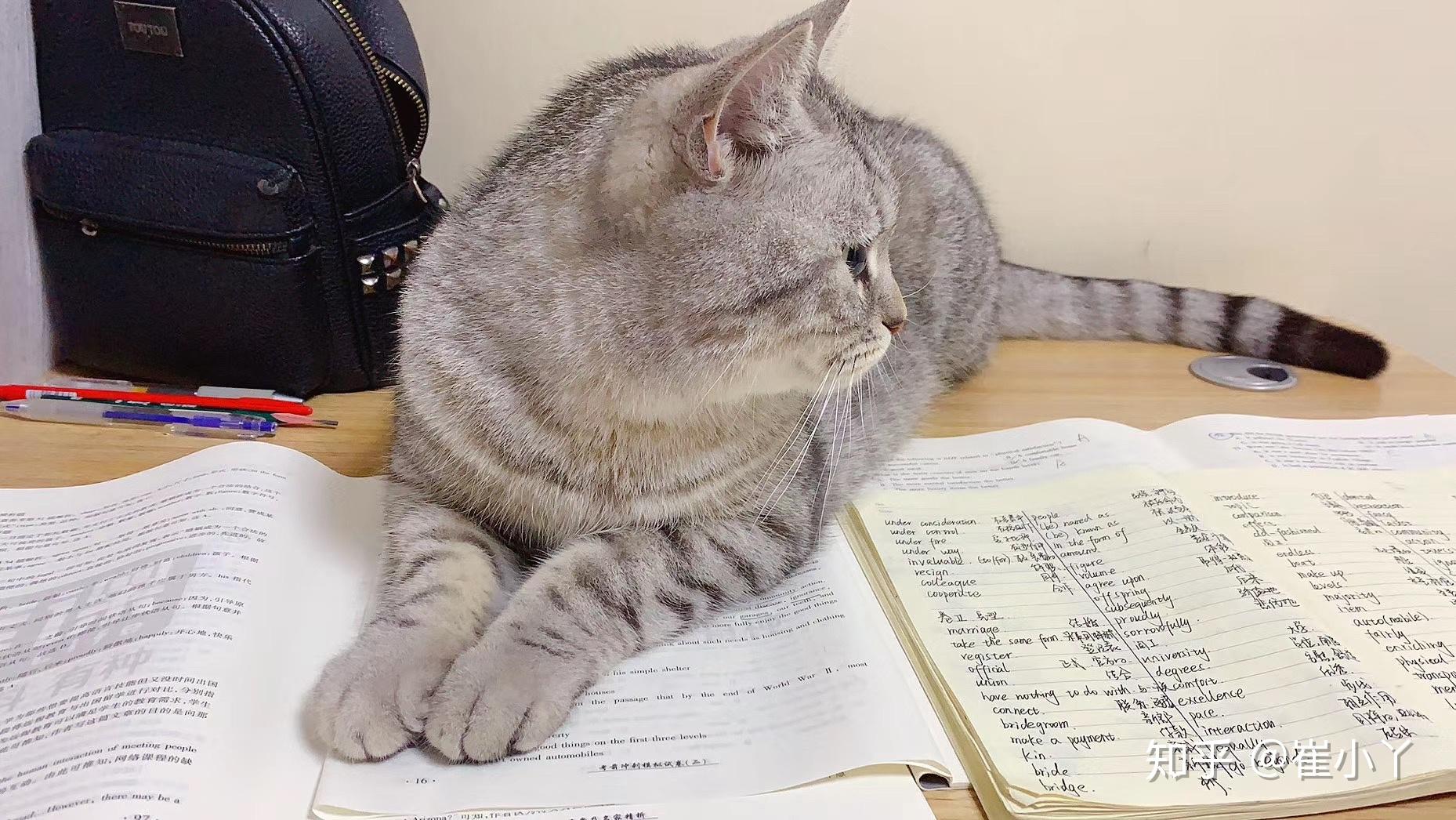 关于河南专升本的个人经验之谈插图4 关于河南专升本的个人经验之谈插图4