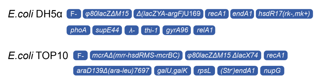 常见感受态细胞特点与应用 - 知乎
