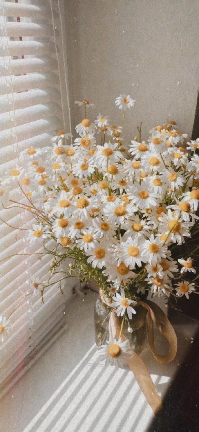 你有哪些压箱好看的壁纸图片