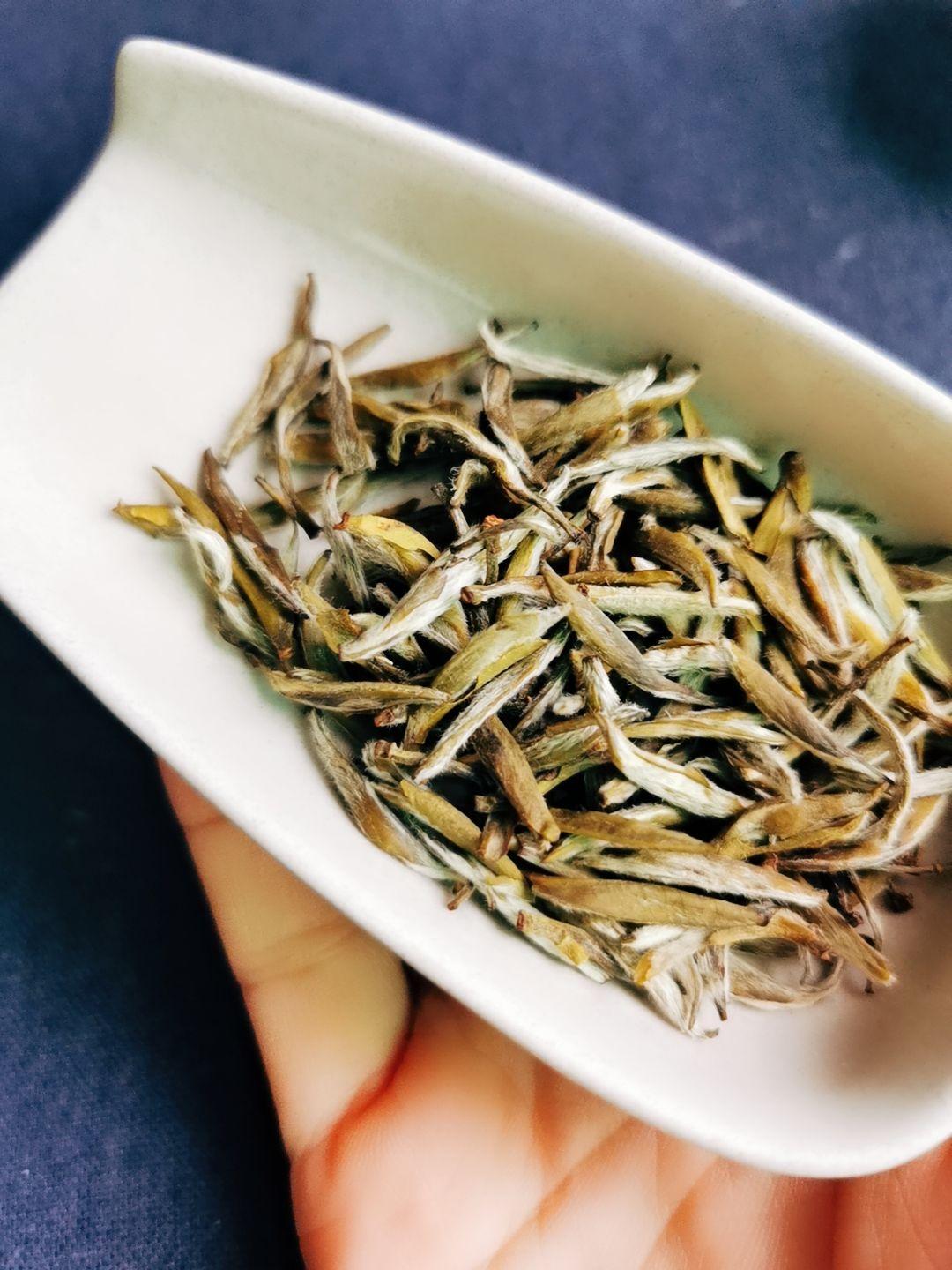 曲时乱泡茶白瑞香