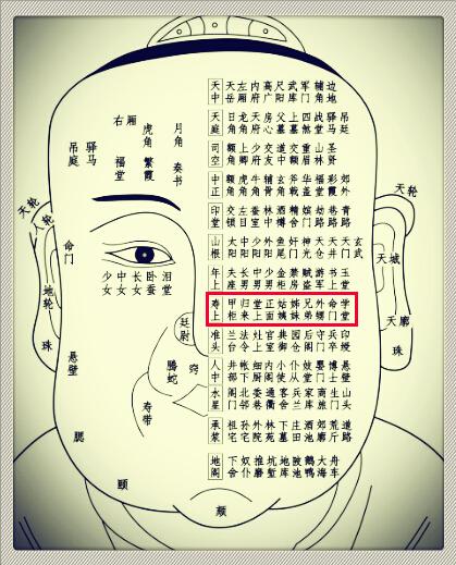 十三部位总图歌·简释