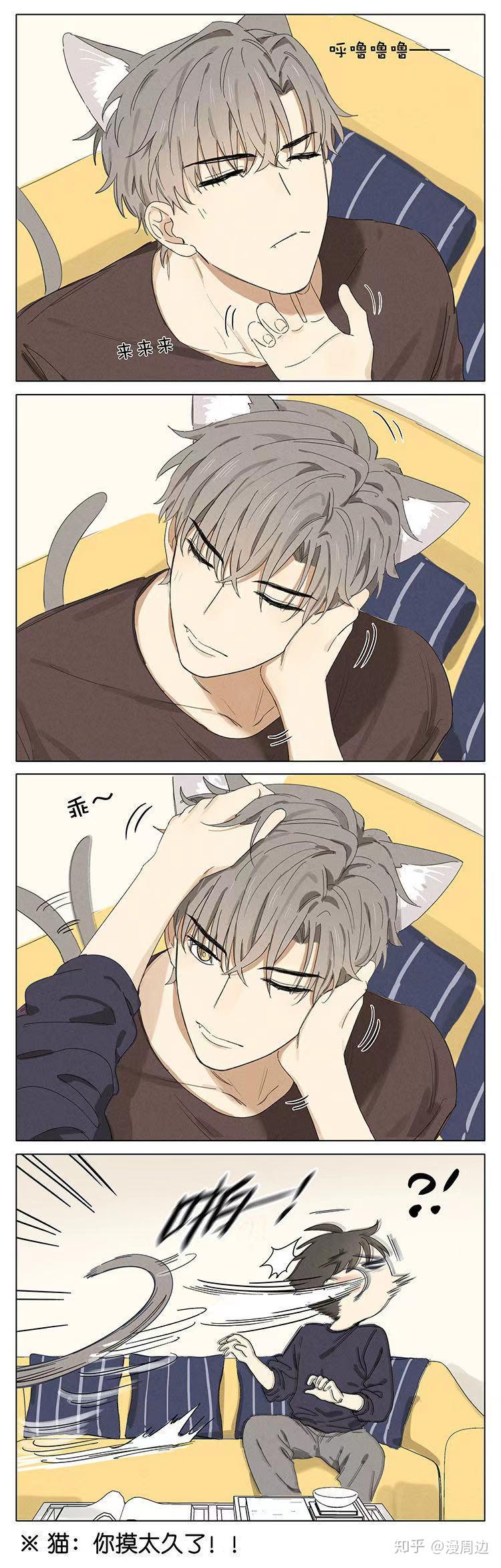 漫画吉川流我家的猫有点不一样