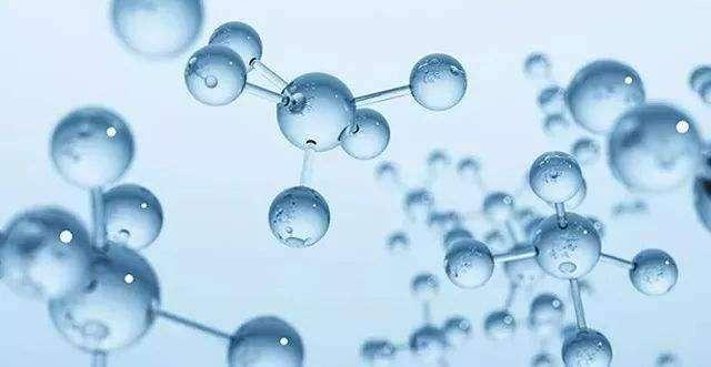 Sea cucumber peptides Sea cucumber peptides