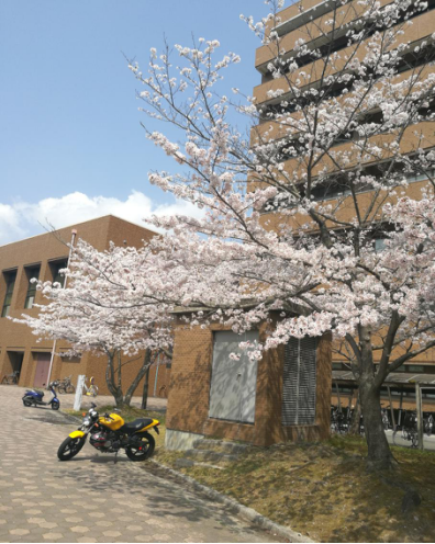 广岛经济大学图片