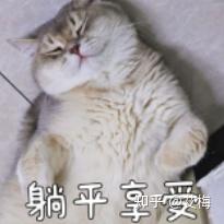 2026年电视推荐指南 | 电视怎么选？高性价比电视选购