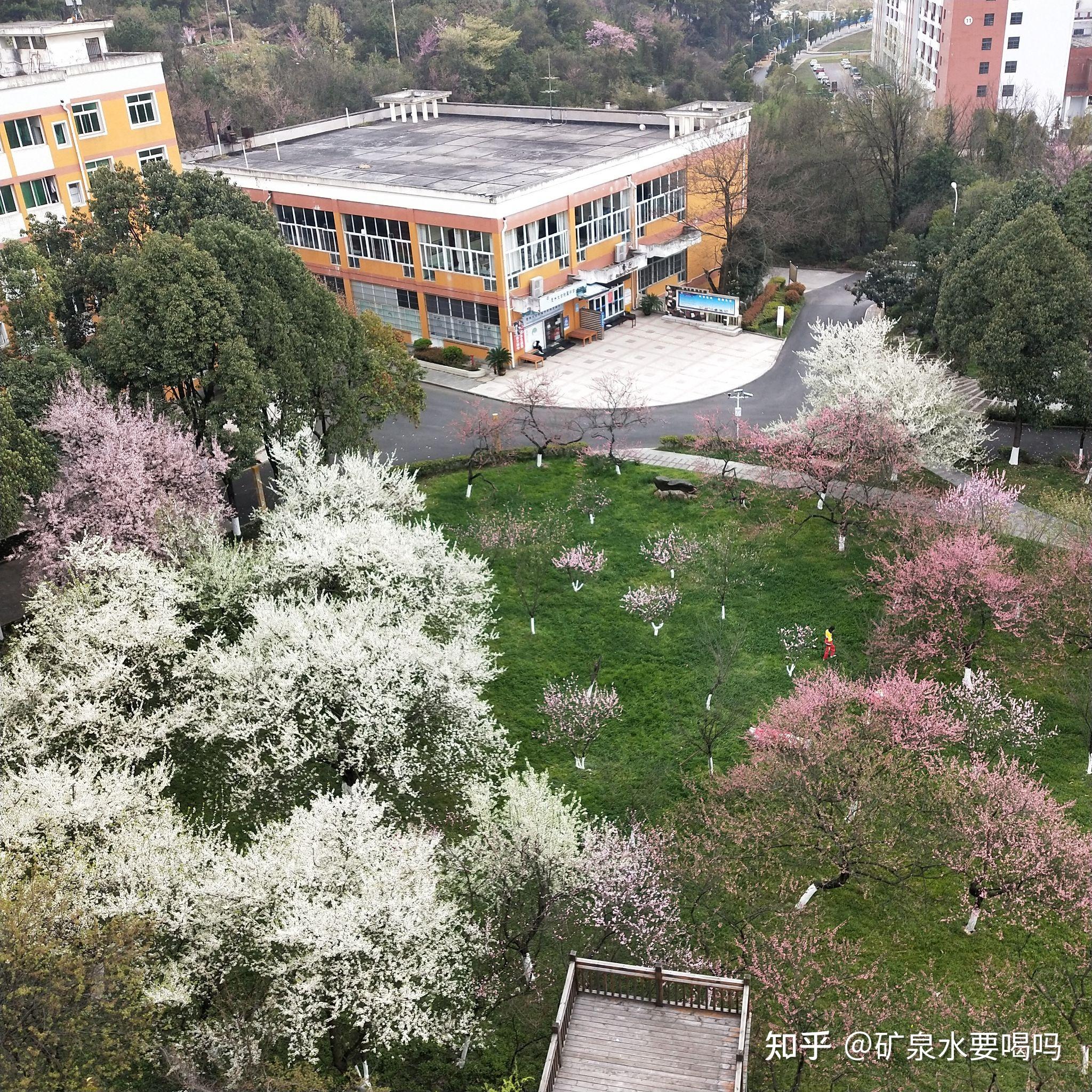 贵大附中到底怎么样? - 知乎