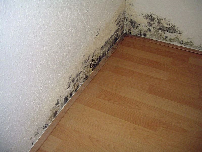 的矿物质,而乳胶漆是酸性的,酸碱发生化学反应,形成盐,造成墙面粉化