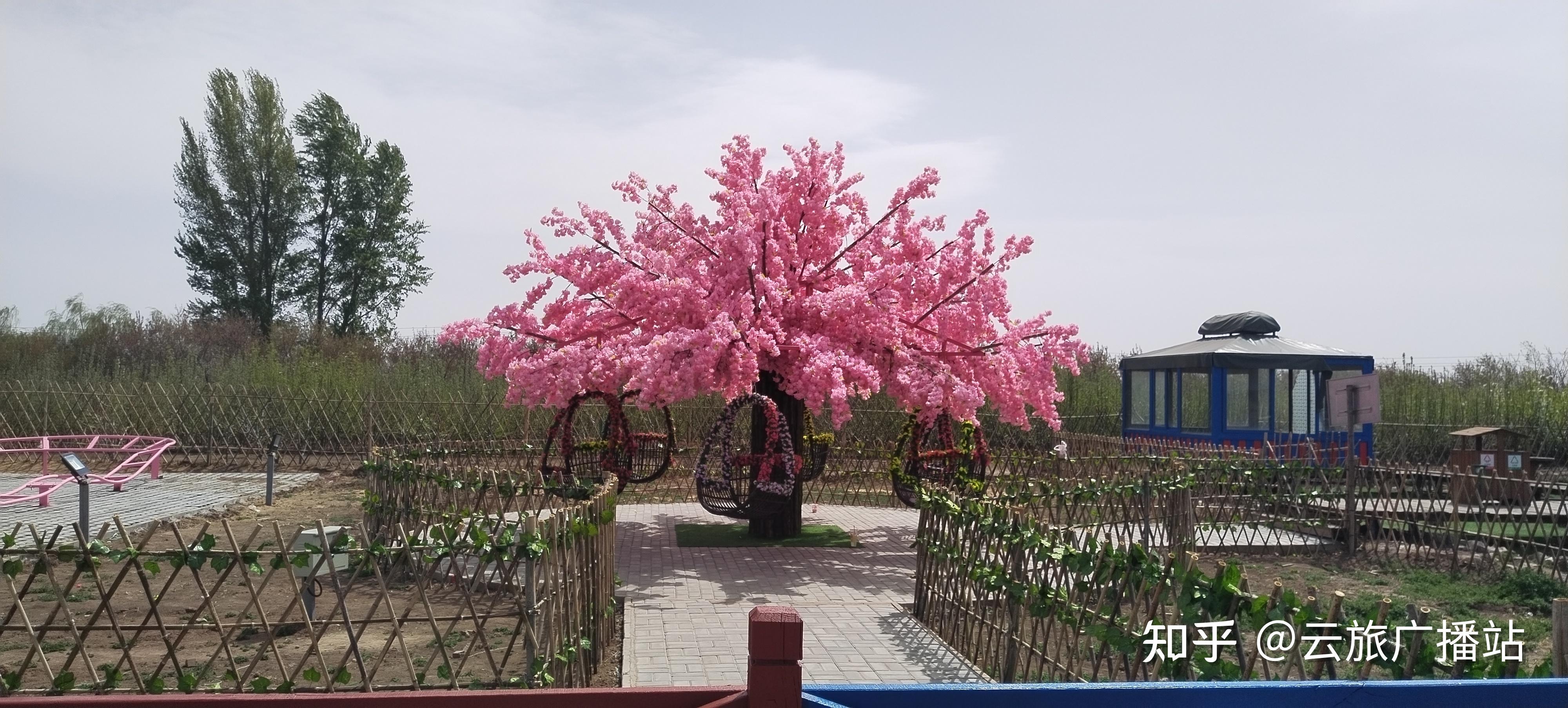 大雁滩景区是位于土默特右旗镇政府萨拉齐镇的一处主要景点.