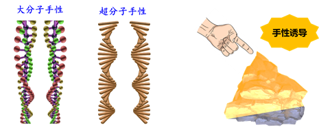 手性之谜 | 左与右的博弈 - 知乎