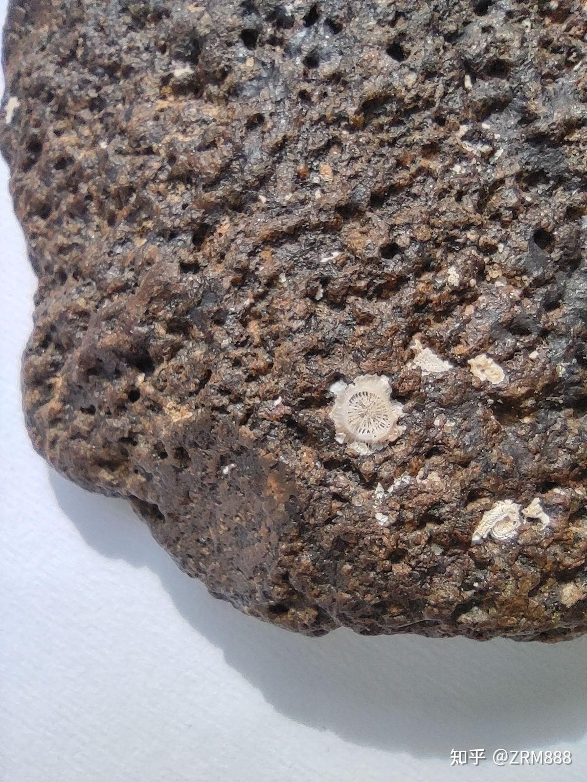 真正的月球角砾岩陨石是什么样子的呢?