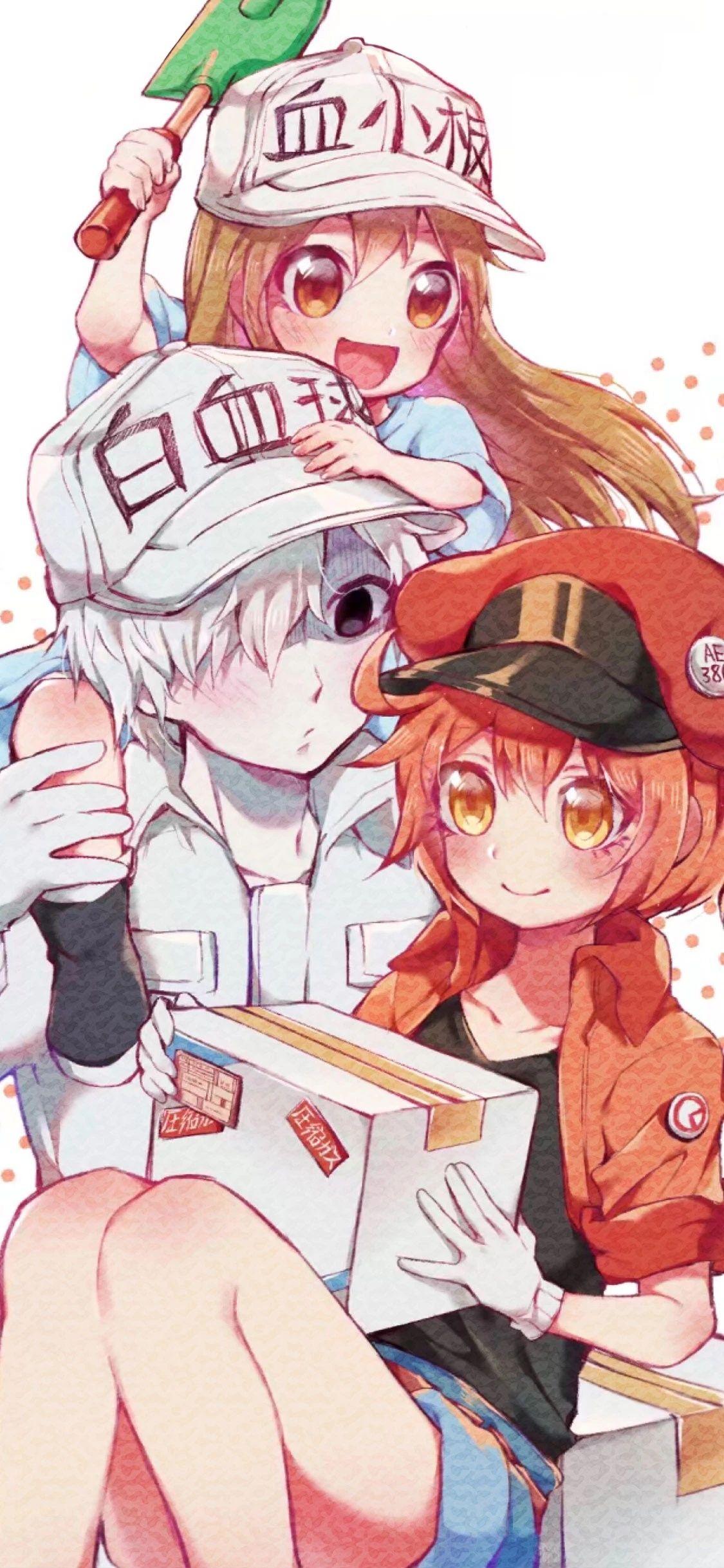 哪位大神有工作细胞的手机壁纸啊