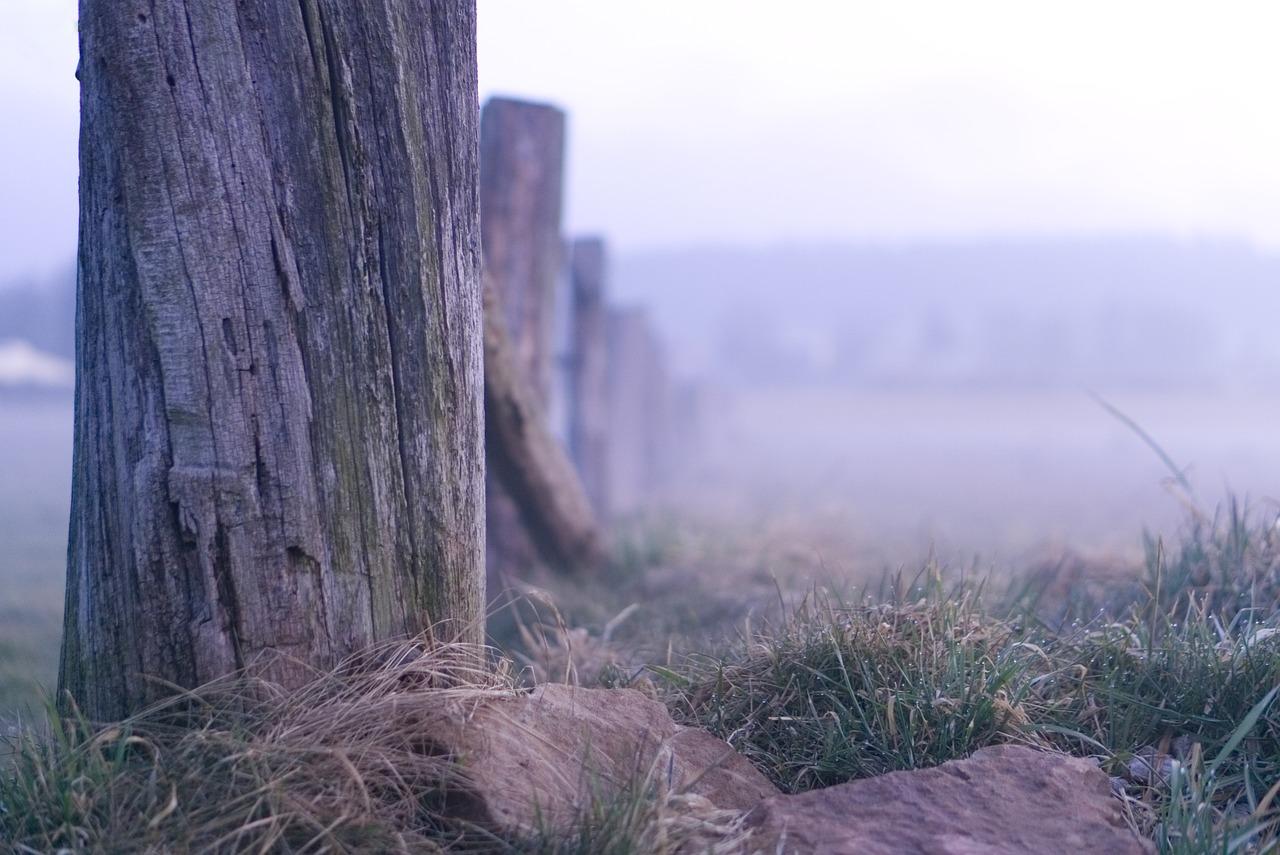 4. 生态板应用领域