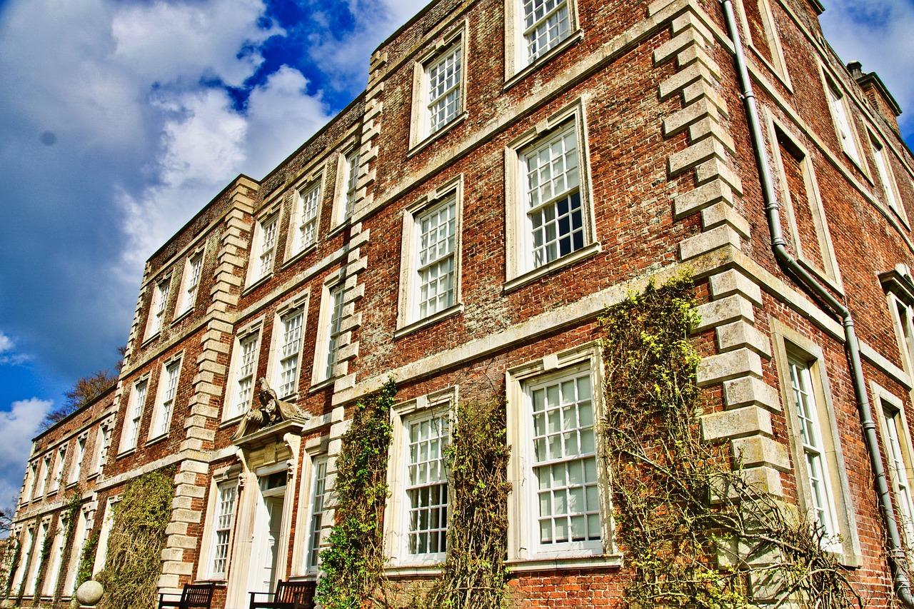 绿色植物除醛推荐