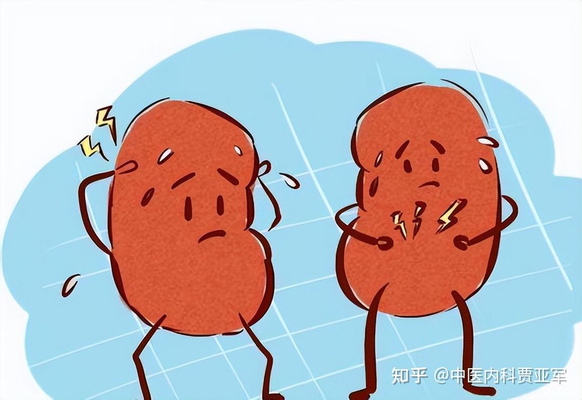 肾虚是一种怎样的体验?老中医教你真正的补肾绝技,错过拍大腿 - 知乎