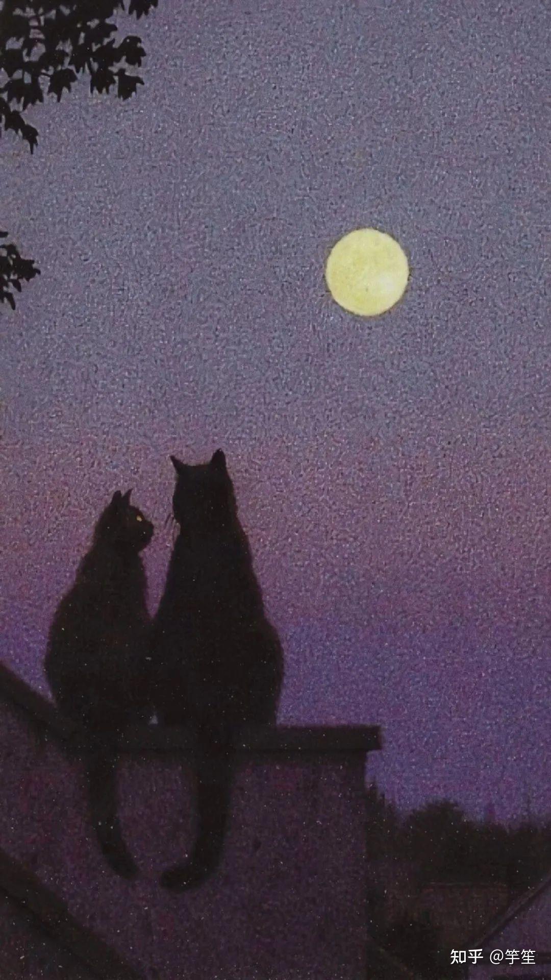 两个猫咪在月光下的图片,月亮很大很圆,有没有人有? - 知乎