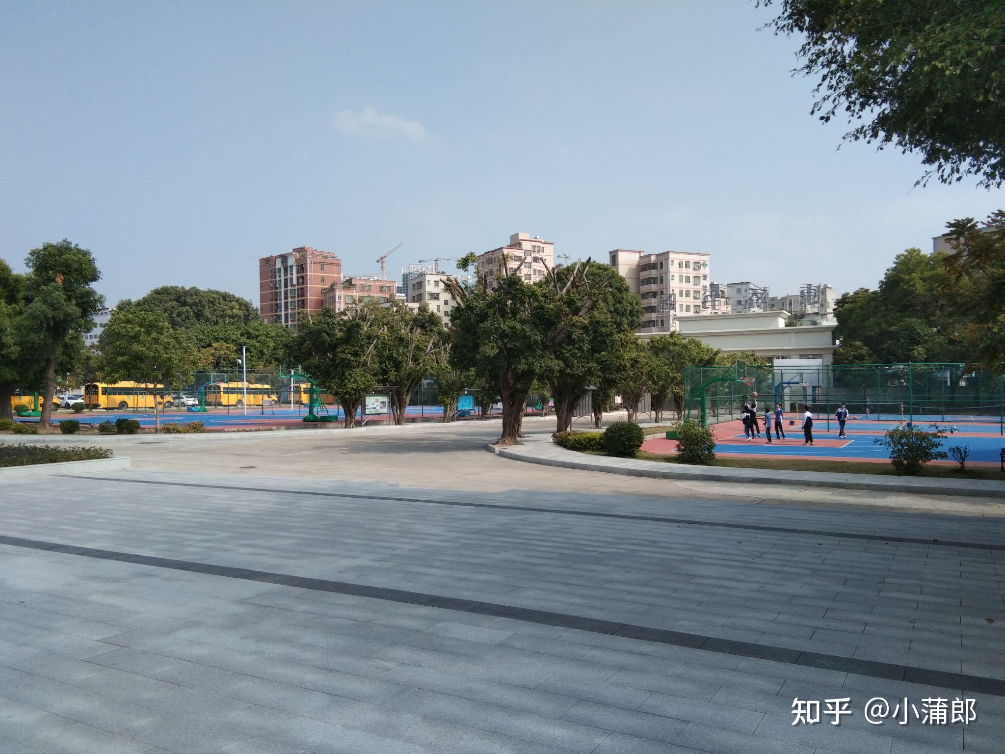 深圳康桥书院怎么样?环境学风?