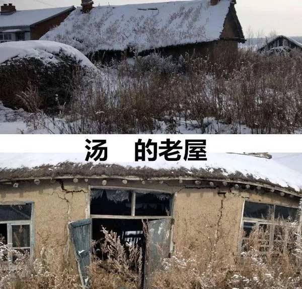 萌评四谁是幕后主使者寻找汤兰兰孩子的父亲原创