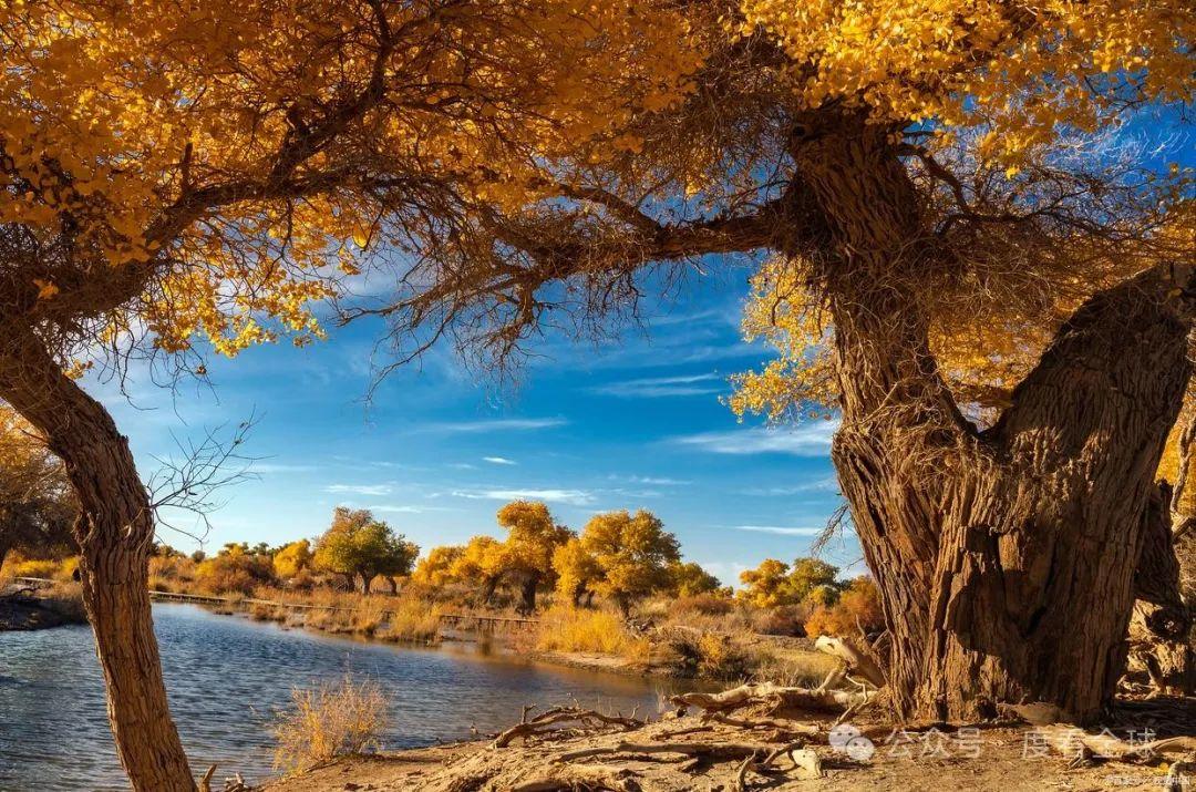 内蒙古十大必去景点绝美景点top10让你惊叹大自然的魔力