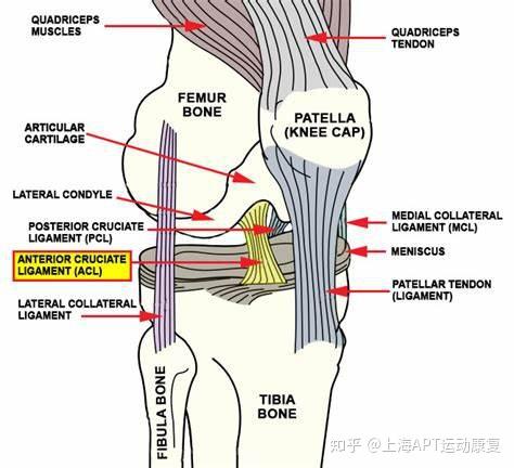 精选案例 前叉术后 自我康复两个月不进反退 三个月帮你重回球场 知乎