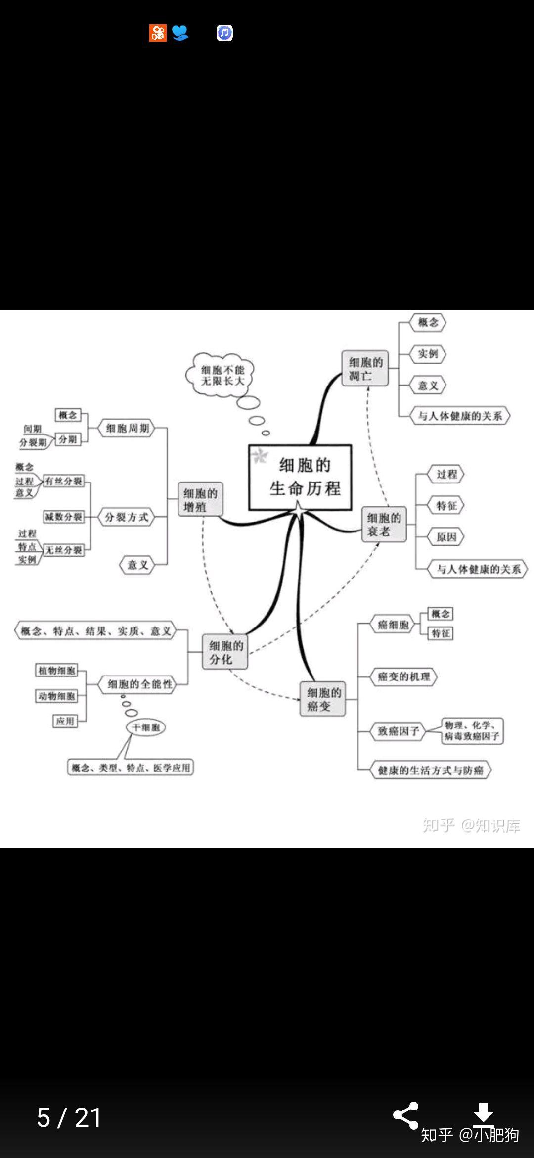 细胞代谢思维导图