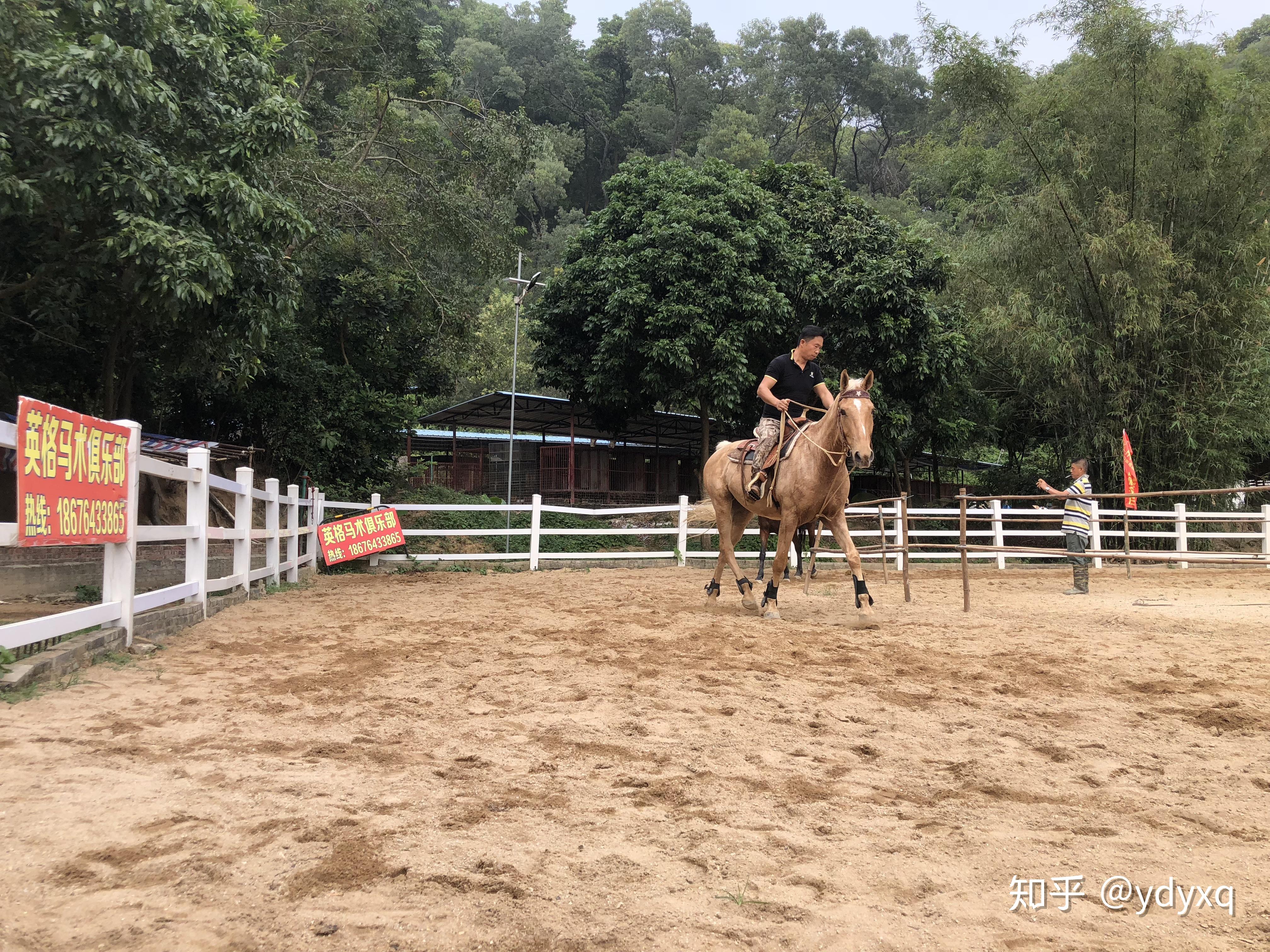 珠海比较专业的骑马场,英格马术俱乐部