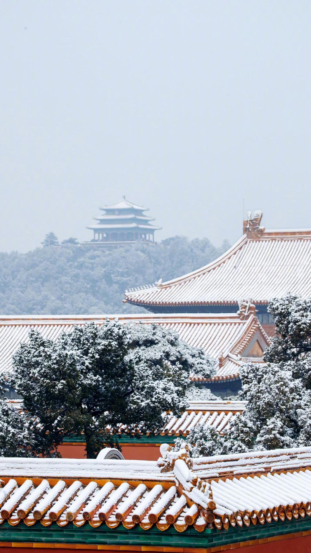 紫禁城的雪景 快来选一张当你的手机的壁纸吧 知乎