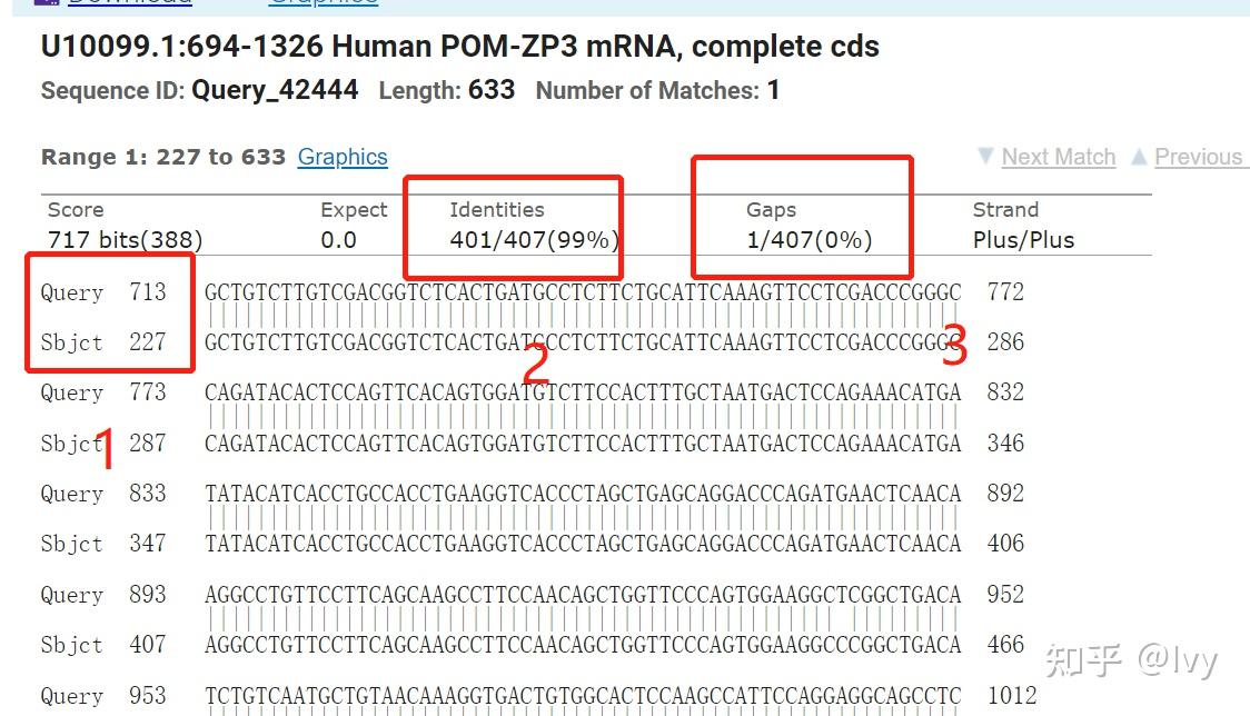 blast系列用ncbi同时比对多个序列