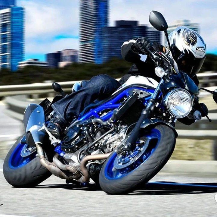 铃木sv650又一复古街车即将上市