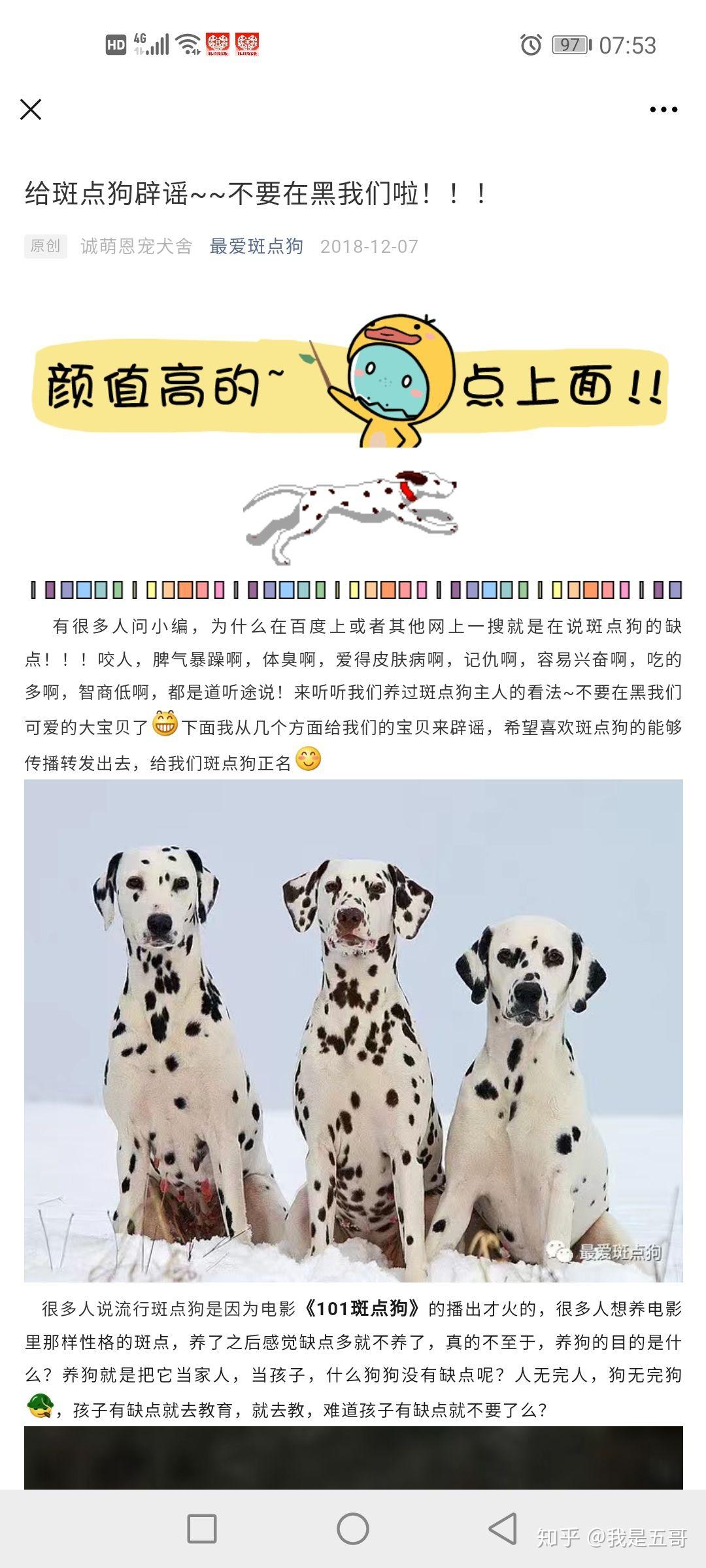 斑点狗大麦町犬咬人?需要真相,不要造谣了