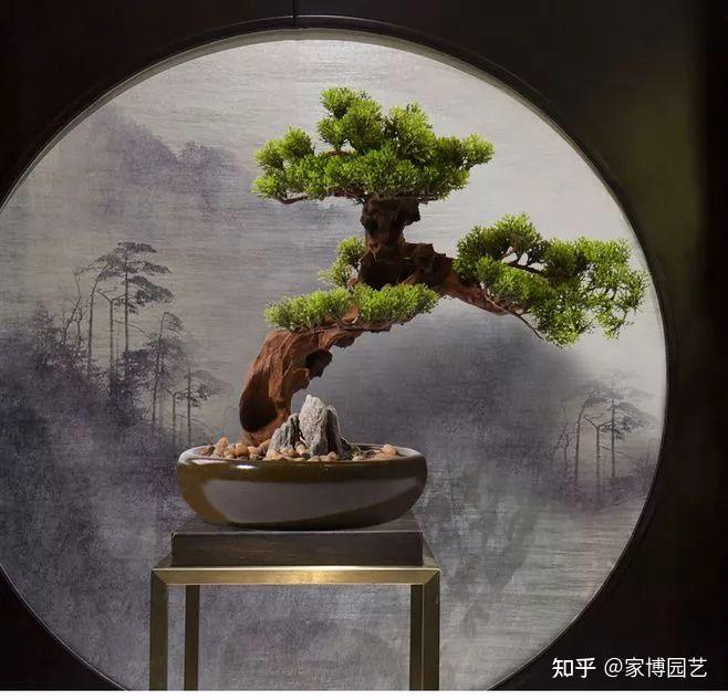 家博园艺|在室内与自然相遇——关于室内空间造景 - 知乎