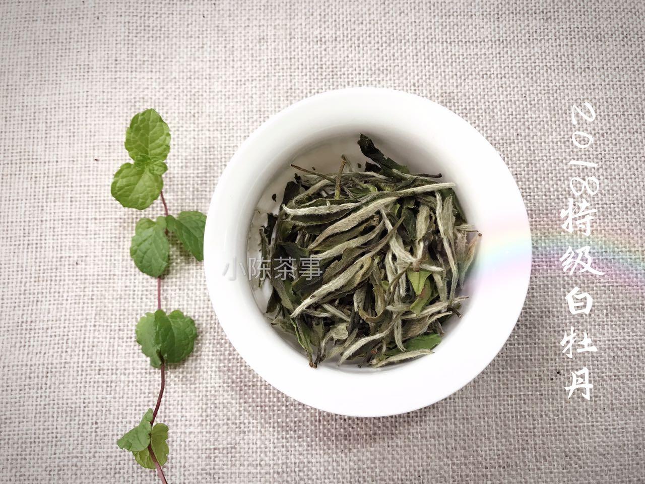 一篇文章带你彻底看懂白牡丹 一款如花般的白茶 知乎 一篇文章带你彻底看懂白牡丹 一款如花般的白茶 知乎