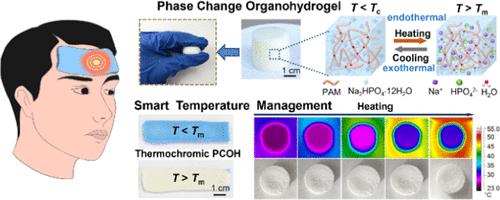 形状稳定的水合盐聚丙烯酰胺相变有机水凝胶实现智能温度管理