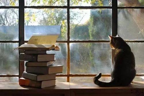 最容易区分的,恐怕是他们读书的不同.