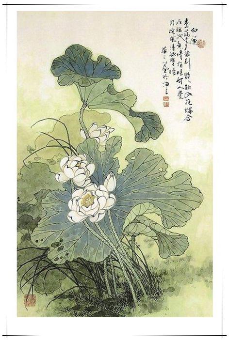 秦大川英译陆龟蒙唐白莲