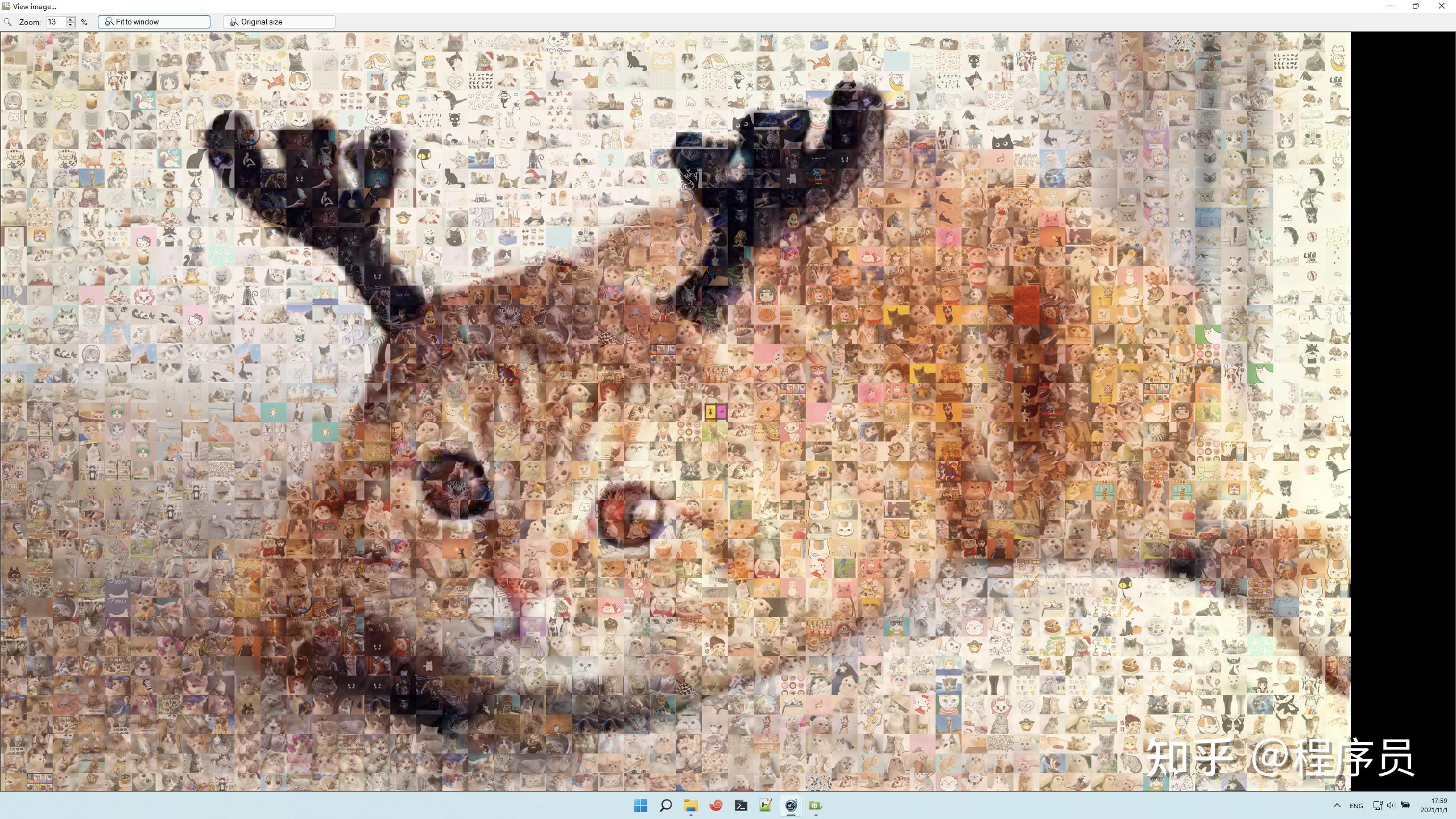 慎入我怕你把控不住python爬虫实现猫咪千图成像