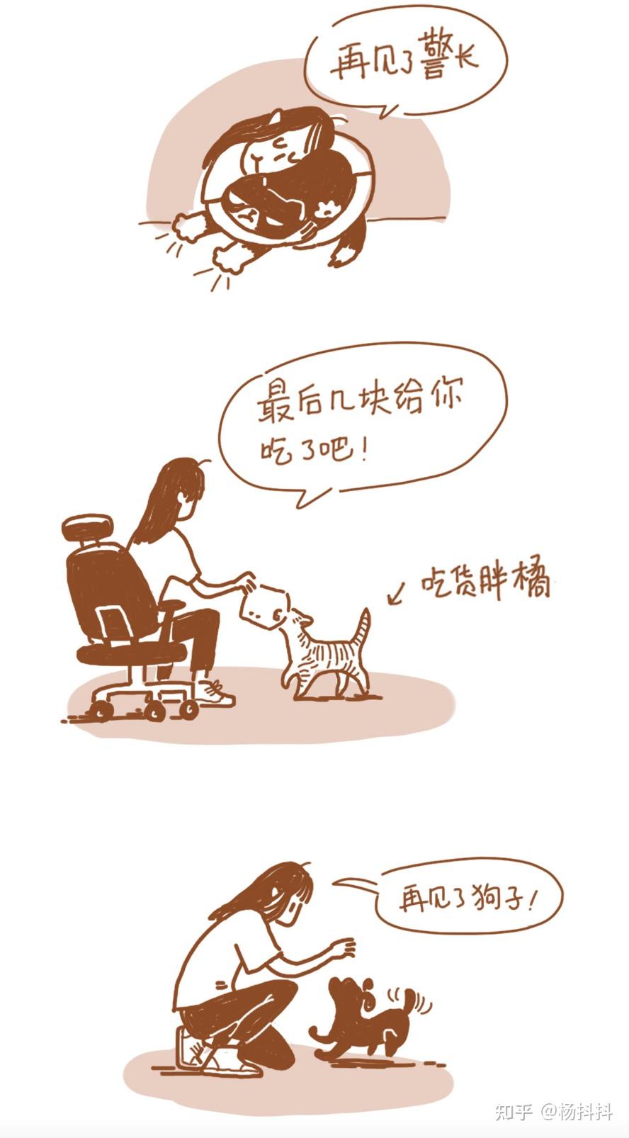从此结束招猫递狗的神仙职场生涯 - 知乎