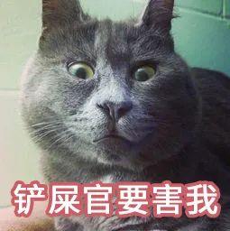 v2-6ce613976ee67c4e86ebe4e6ae7351d4_b.jpg