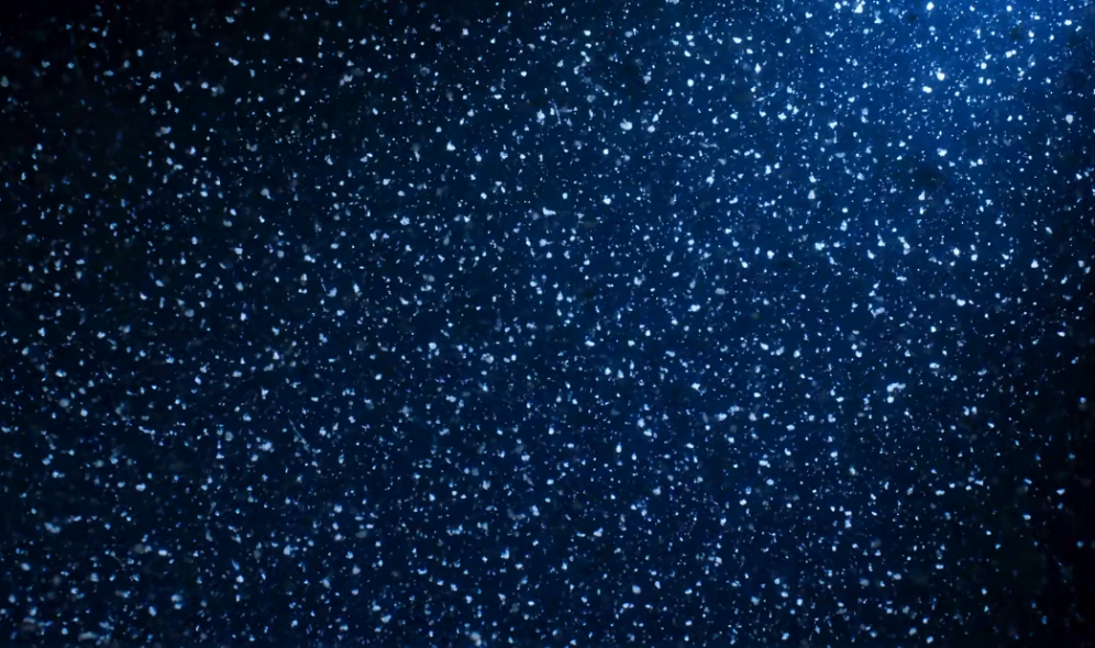深海有没有可能存在大型生物? - 知乎