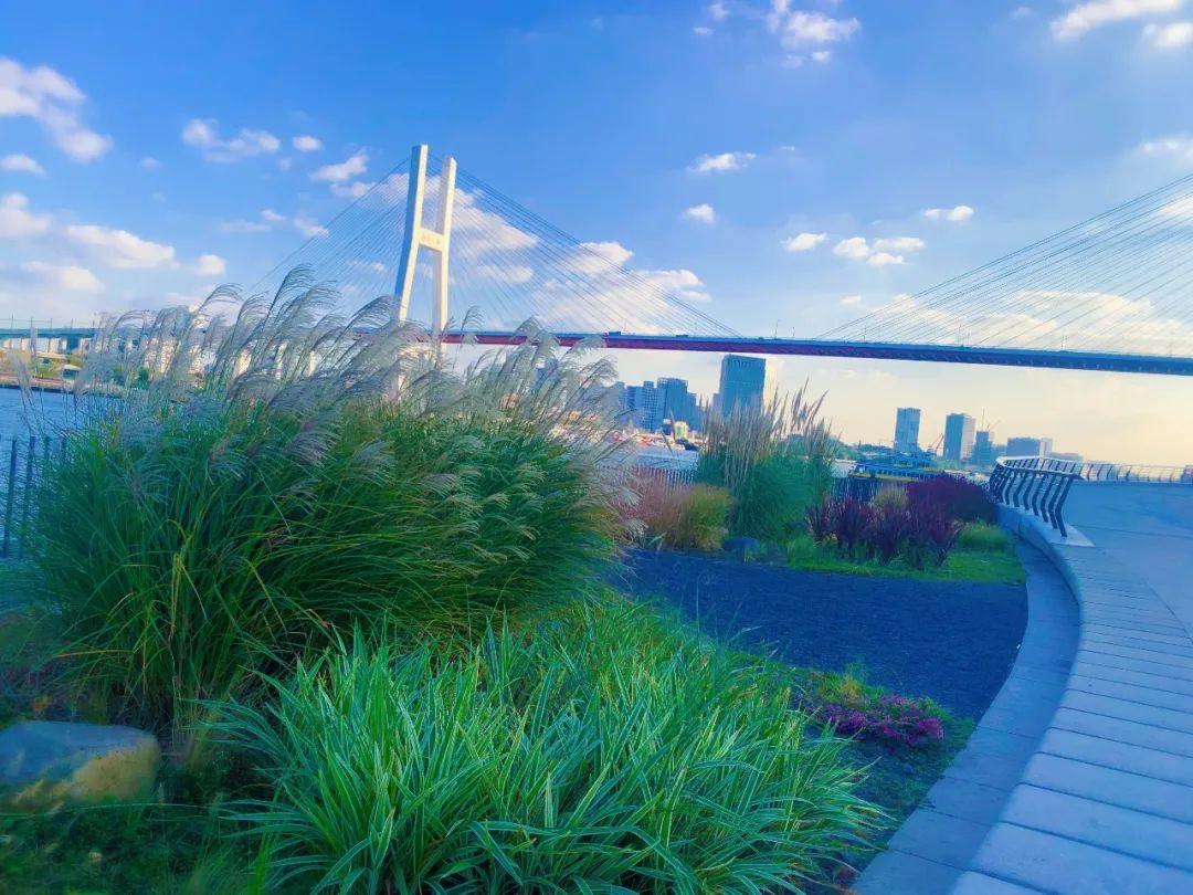 黄浦滨江之南外滩