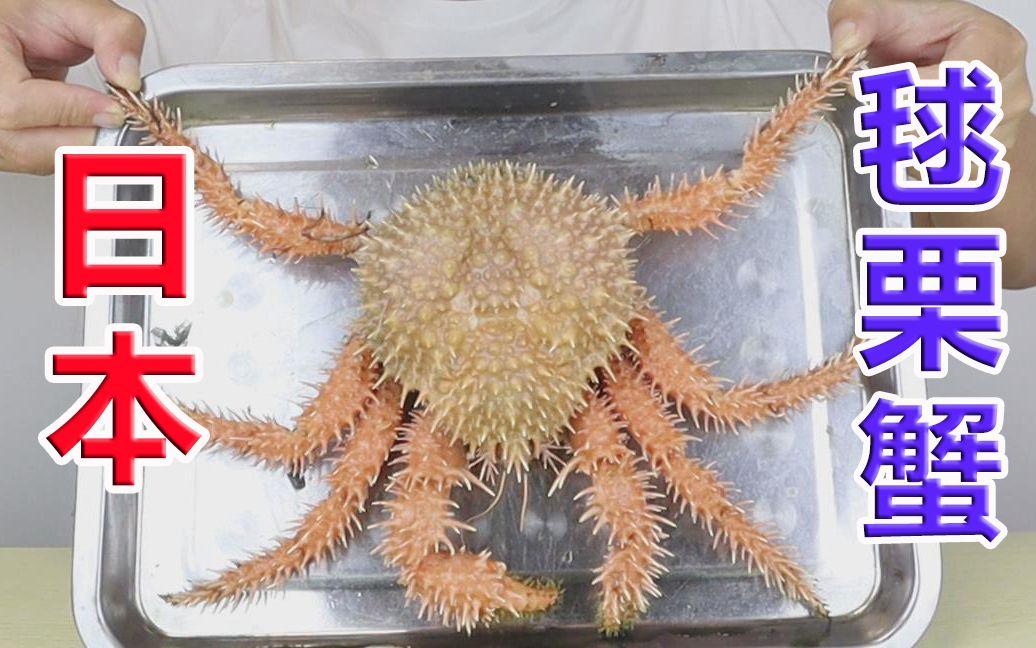 试吃来自深海的大红蟹,五齿查氏蟹,出锅后给了我很大的惊喜