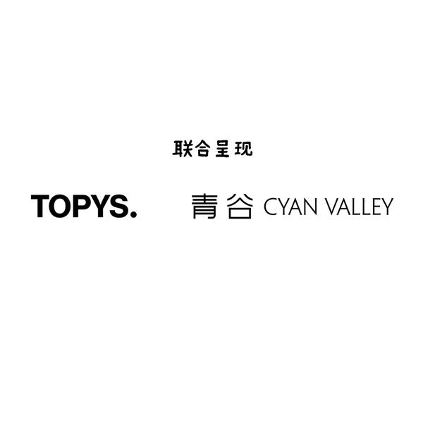 秋天来深圳海边枕着太平洋任性狂欢溪涌生活节