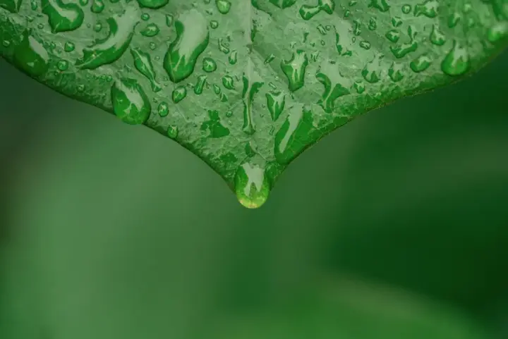祛寒湿效果最好的40天到了！4个方法，助你把堵在体内的寒和湿排出去~ - 知乎