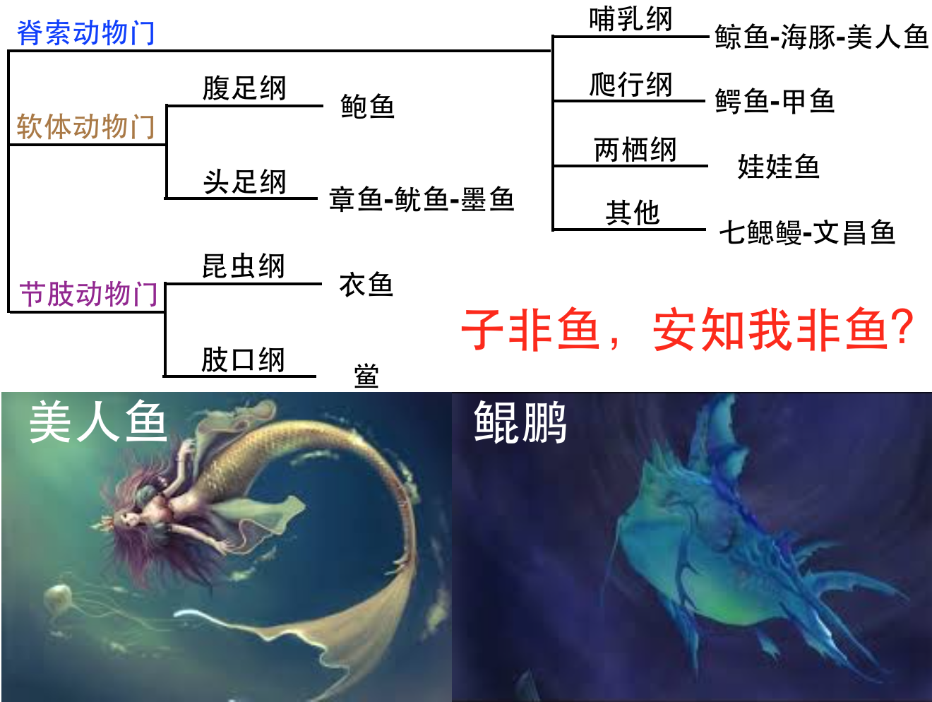 鲲鹏驹百科一 子非鱼 安知我非鱼 知乎 鲲鹏驹百科一 子非鱼 安知我非鱼 知乎