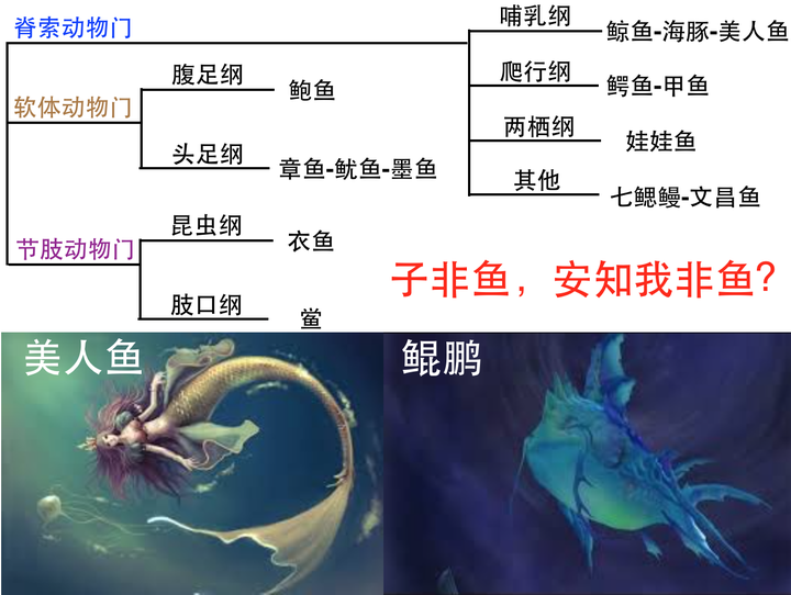 鲲鹏驹百科一 子非鱼 安知我非鱼 知乎 鲲鹏驹百科一 子非鱼 安知我非鱼 知乎