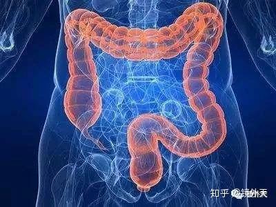 根据眼睛眼白颜色的变化来看背后的病变情况 知乎